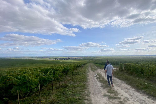 Maison Perondé – Champagne che nasce dall’incontro tra due mondice
